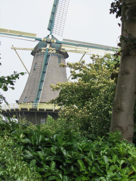B&B Molenzicht Warnsveld Exteriör bild