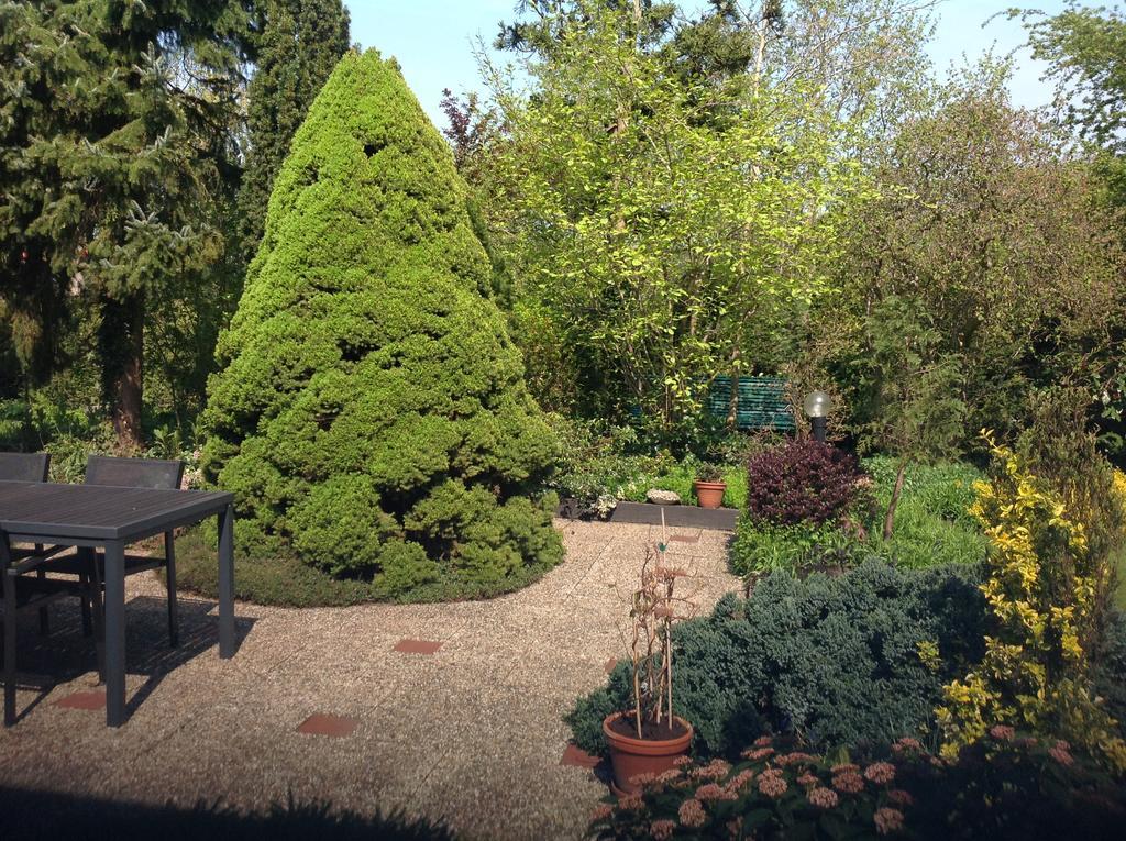 B&B Molenzicht Warnsveld Exteriör bild