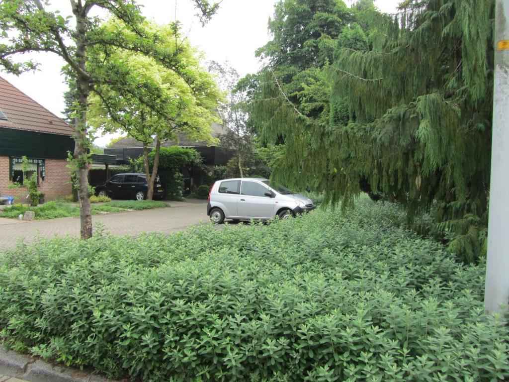 B&B Molenzicht Warnsveld Exteriör bild